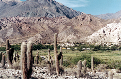 <br>Quebrada del Toro<br>Gentileza del Ministerio de Turismo de Salta